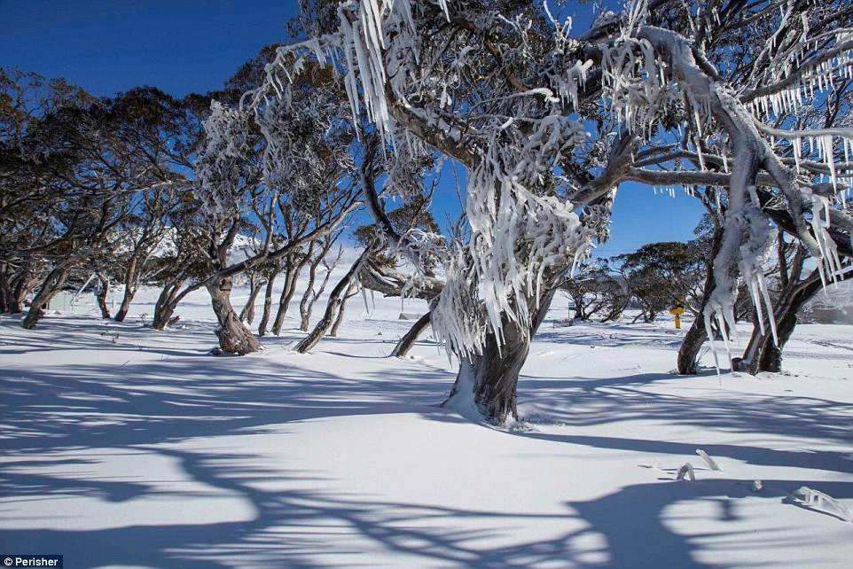 Cuaca Sejuk Luar Biasa Bakal Melanda Australia Mungkin Bersalji Di Sesetengah Tempat Rileklah Com