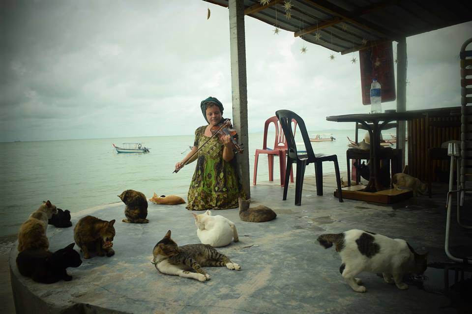 Cat Beachu0027 Penang Destinasi Wajib Bagi Si Pencinta Kucing 