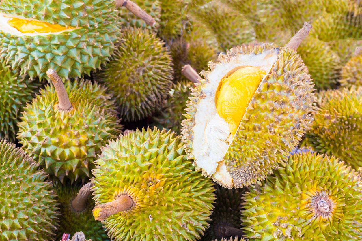 Musim Durian Datang Lagi! Kenali Tips 7 Jenis Raja Buah Terbaik 