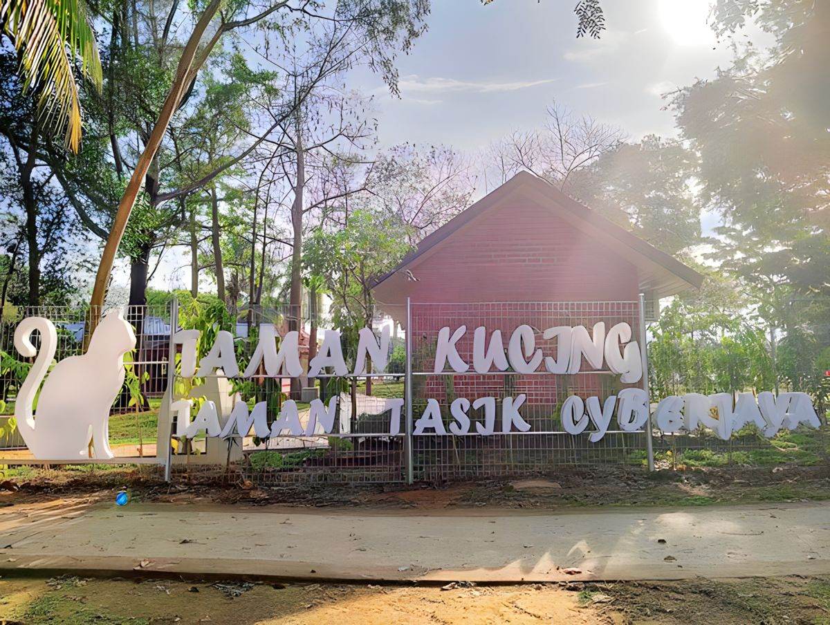 Taman Kucing Tasik Cyberjaya Syurga Buat Pencinta Kucing Rileklah Taman Kucing Tasik Cyberjaya Syurga Buat Pencinta Kucing Rileklah